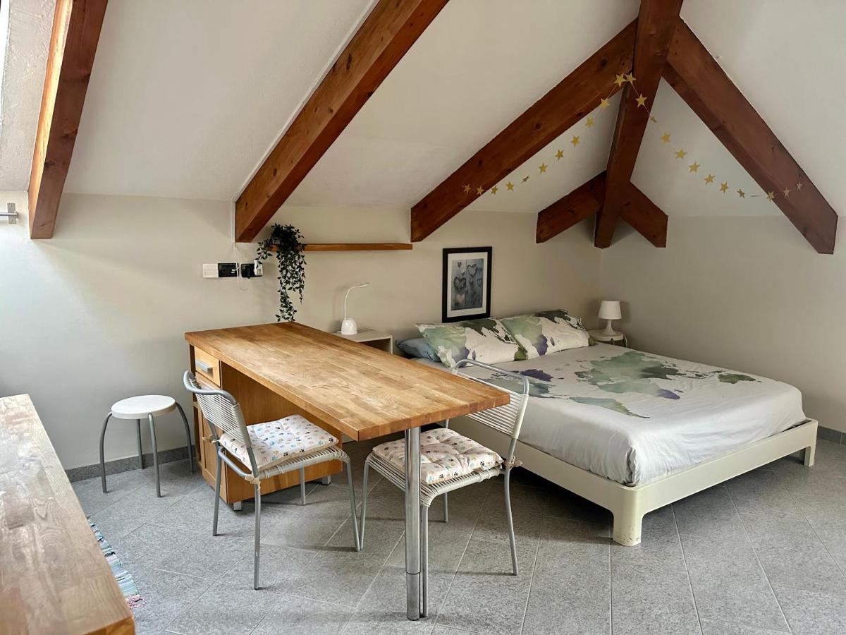 Loft Centro Storico Tommaso Apartment Turin