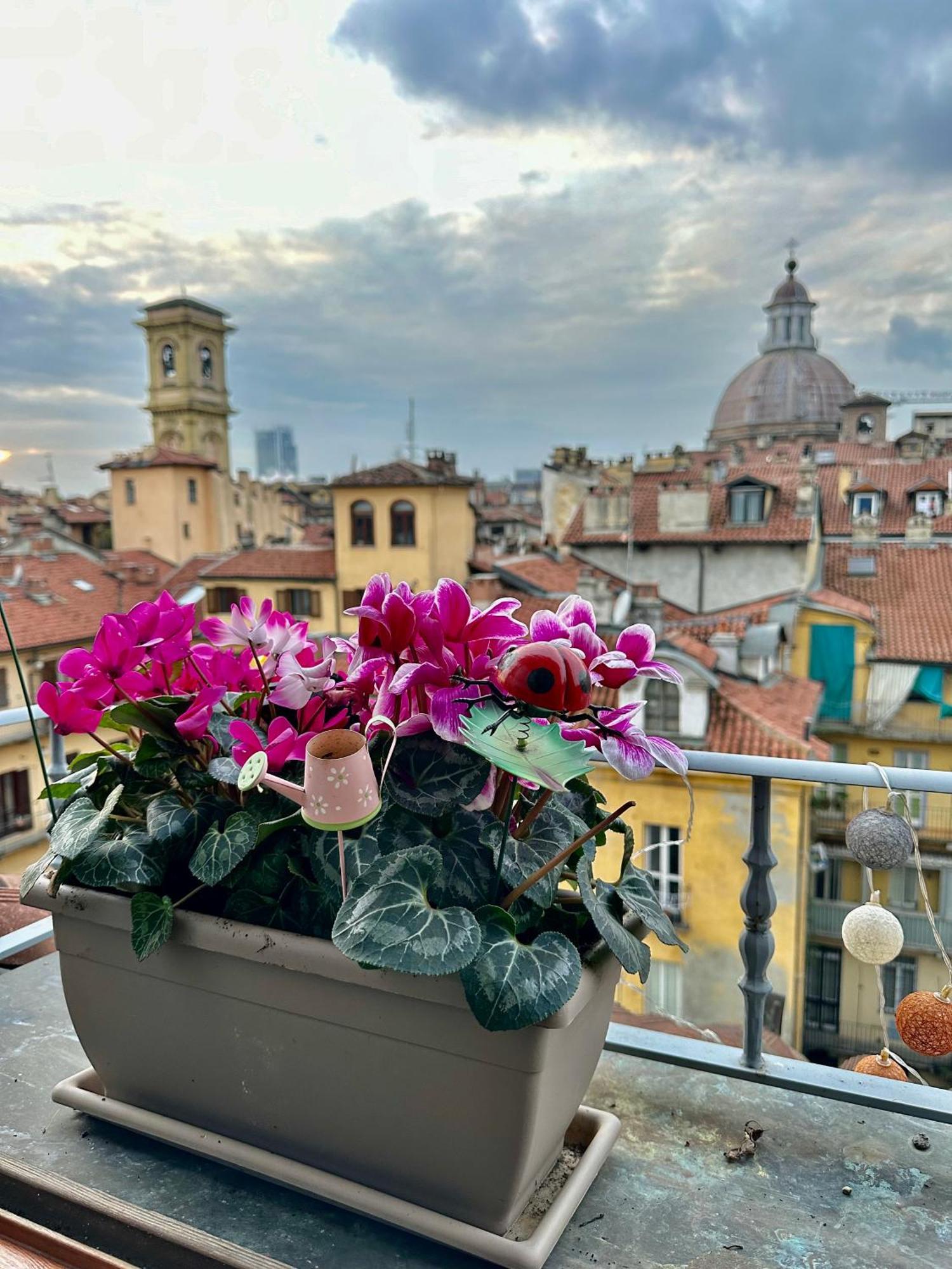 Appartement Loft Centro Storico Tommaso *
